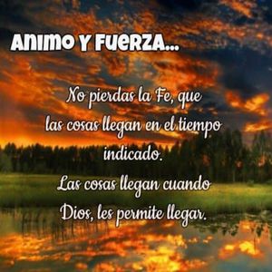 法国做爰XXXⅩ性派对
